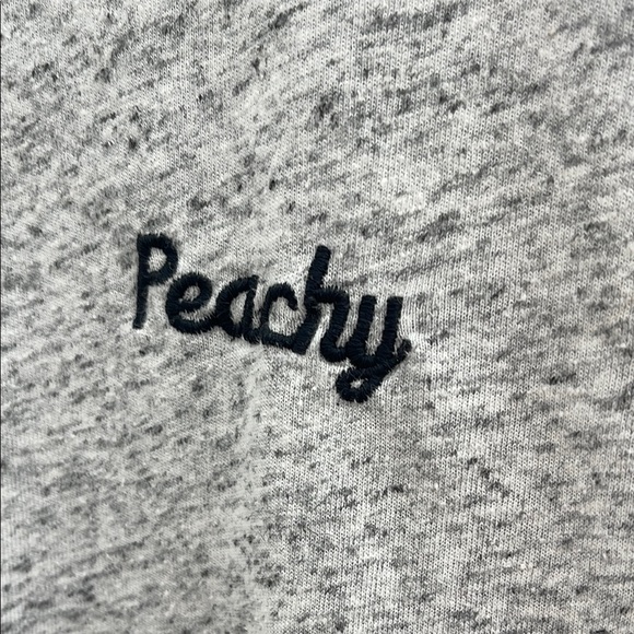 Brandy Melville / John Galt Gray 'Peachy' embroidered T-Shirt size OS - Picture 4 of 6
